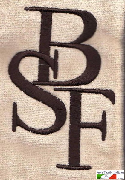 Logo BSF.JPG - Customized logos - Bagno San Filippo